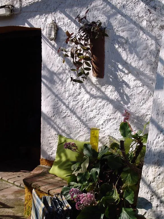 Algatocín Casa El Alambique酒店 度假居