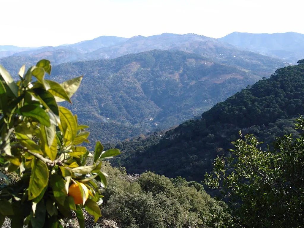 Casa El Alambique Holiday home Algatocin 0*,  Spain